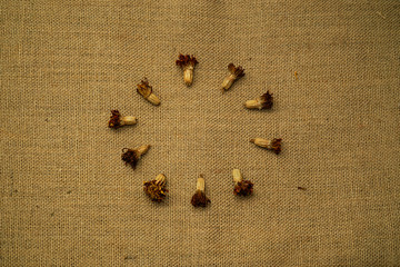 Dried marigold flowers on burlap background