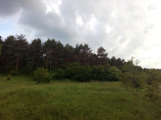 Obraz premium clouds over the forest