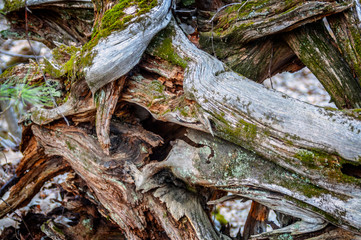 Sleeping Beauty Mountain Lake George Upstate New York Hiking