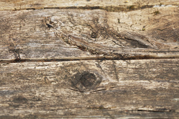 Holz Hintergrund Vorlage 