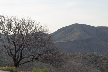 Mountain Landscape from Big Bend National Park