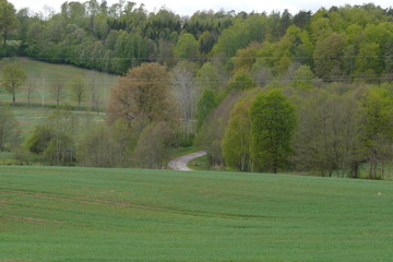 Krajobraz na wsi z starą drogą