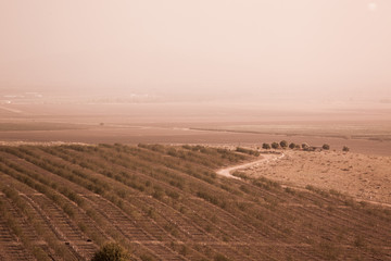 Obraz premium Megiddo Valley in Sepia Tone
