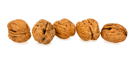 Fünf ganze Walnüsse aneinander gereiht auf weißem Hintergrund.