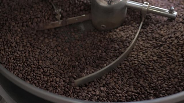 Coffee beans cooling in a roasters drum. Freshly light roasted arabica coffee.