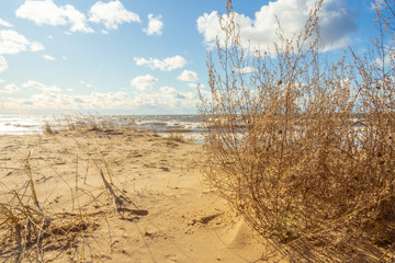 Beach Scene with sand, sea, dune grasses and sky