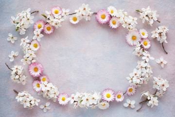 Frame of branches of blossoming cherry plum and daisies on colored decorative plaster. For congratulations, postcard.