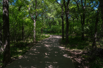 Concrete path in a city park on a sunny spring day.