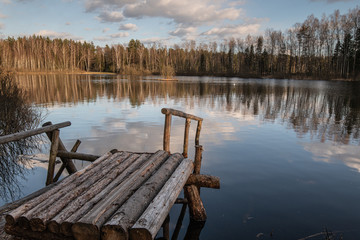 Forest lake