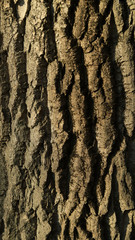 rough brown wood texture pattern close up