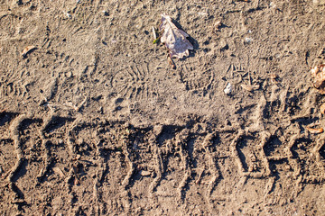 Tire tracks and footprints on the ground. Crime scene, concept.