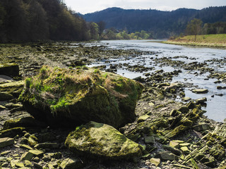 dunajec w rożnowie, małopolska