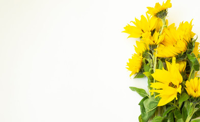 bouquet of yellow sunflowers on a white background.