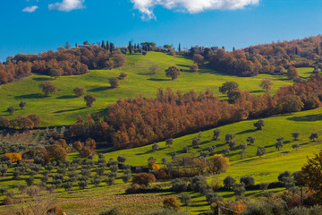 tipico paesaggio Toscano ( Pitigliano)