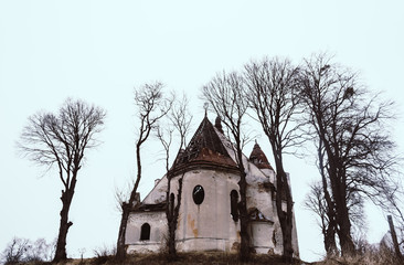 Abandoned cathedral surrounded by dry trees near Lviv, Ukraine.