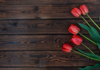 Red beautiful tulips on old brown wooden background with space for text. Spring concept. Texture surface for design. Close-up. Postcard template.