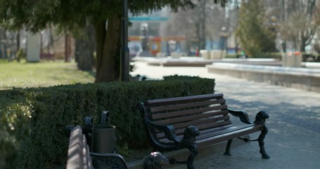 Empty park alley in city. Pan right view of empty benches and paved alley on sunny day in city during COVID 19 quarantine