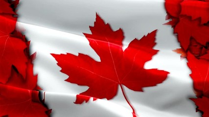 Canadian flag - Ottawa 1080p Full HD 1920X1080 footage video waving in wind. National 3d Canadian flag waving. Sign of Canada seamless loop animation. Canadian flag HD resolution Background 1080p
 - Powered by Adobe
