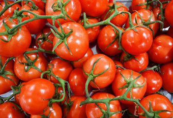 a lots of red tomatos on the table