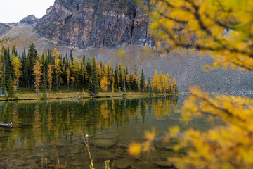 beautiful fall day by a lake in the Rocky Mountains, Canada