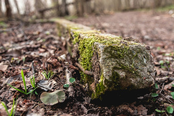 An old concrete pillar fell. Concrete covered with moss. Ruins in the forest.