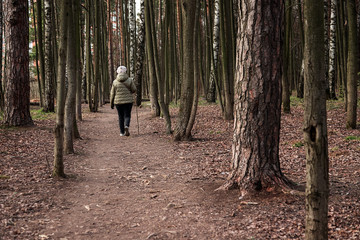 An elderly woman walks in the Park among the trees. An old woman on a walk in the woods. Pensioner in the fresh air.