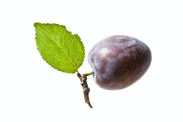 plums with leaves