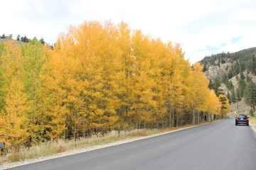 Obraz premium Autumn in the mountains