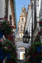 Fototapeta na wymiar Torre de Alminar en Córdoba