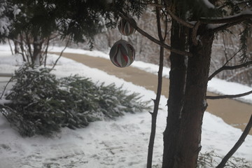 TWO CHRISTMAS ORNAMENT HANDING OUTSIDE ON A PINE TREE, SNOW GROUND COVERED