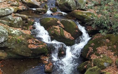 Mountain Stream