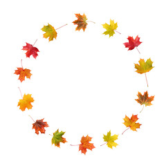 Naklejka na ściany i meble round frame of maple autumn leaves isolated on white.