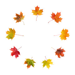 autumn maple leaf isolated on white background with clipping path.