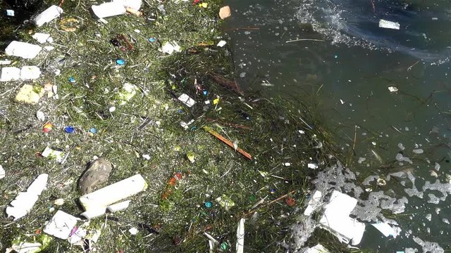 Trash and garbage floating on the surface of the water. Water pollution with dirt and plastic garbage floating on the surface of the sea 
