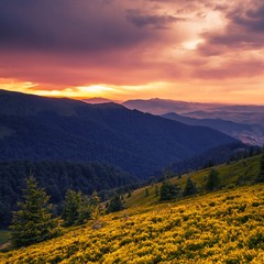 Fototapeta na wymiar majestic summer dawn image, vertical sunrise scenery, awesome morning landscape, beautiful nature background in the mountains, Carpathians, Ukraine, Europe 