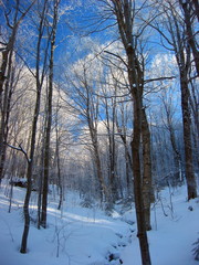 Snow, rime ice, and blue sky in the Adirondack Mountains