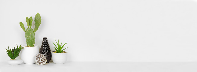 Home decor on a shelf. Cactus and succulent plants, vase and coral. White shelf and wall. Banner with copy space. © Jenifoto