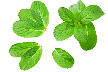 Fresh mint leaves isolated on white background. top view