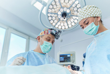 Team surgeon at work in operating room