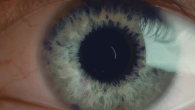 Extra macro shot of man's opening eye with blue iris and big pupil resizing when exposed to light. Healthy eyesight and vision problems concept. Slow motion front view close up video in 4K.