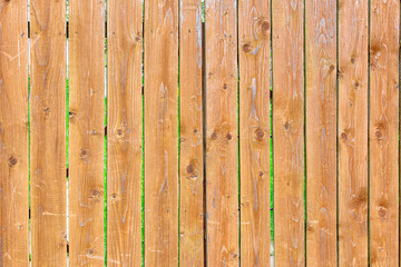 Obraz premium Photo of an old wooden fence. Background with wood texture for sites and layouts.