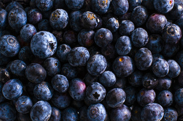 TOP VIEW OF FRESH ORGANIC BLUEBERRIES. DARK FOOD BACKGROUND