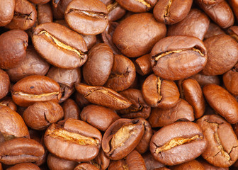 coffee beans close up macro