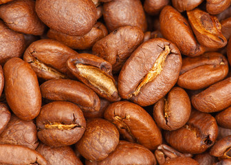 coffee beans close up macro
