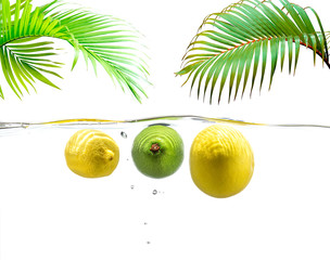 Obraz premium Lemon, avocado and white grapefruit float in the water