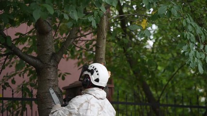 A man is sawing a tree close-up. Place for an inscription. Wood chips fly apart