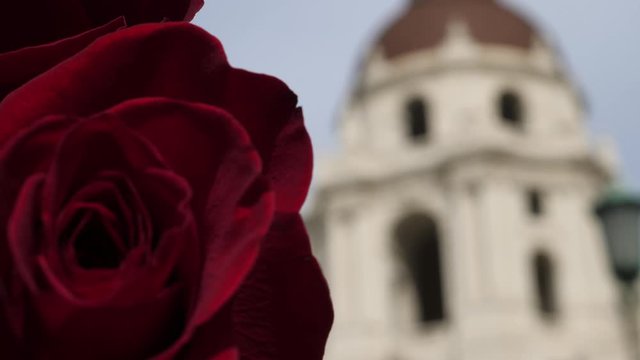 Pasadena California Rose Rack Focus