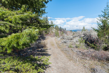 Fototapeta na wymiar Hiking trail through forest and Okanagan Valley in early spring