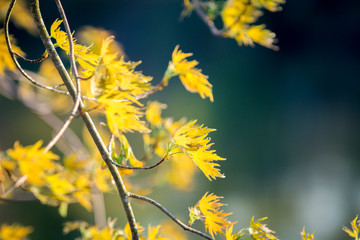 Betar Byway Hudson River Upstate New York Adirondacks