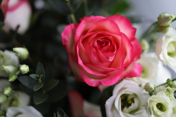 flower pink rose in a bouquet close-up